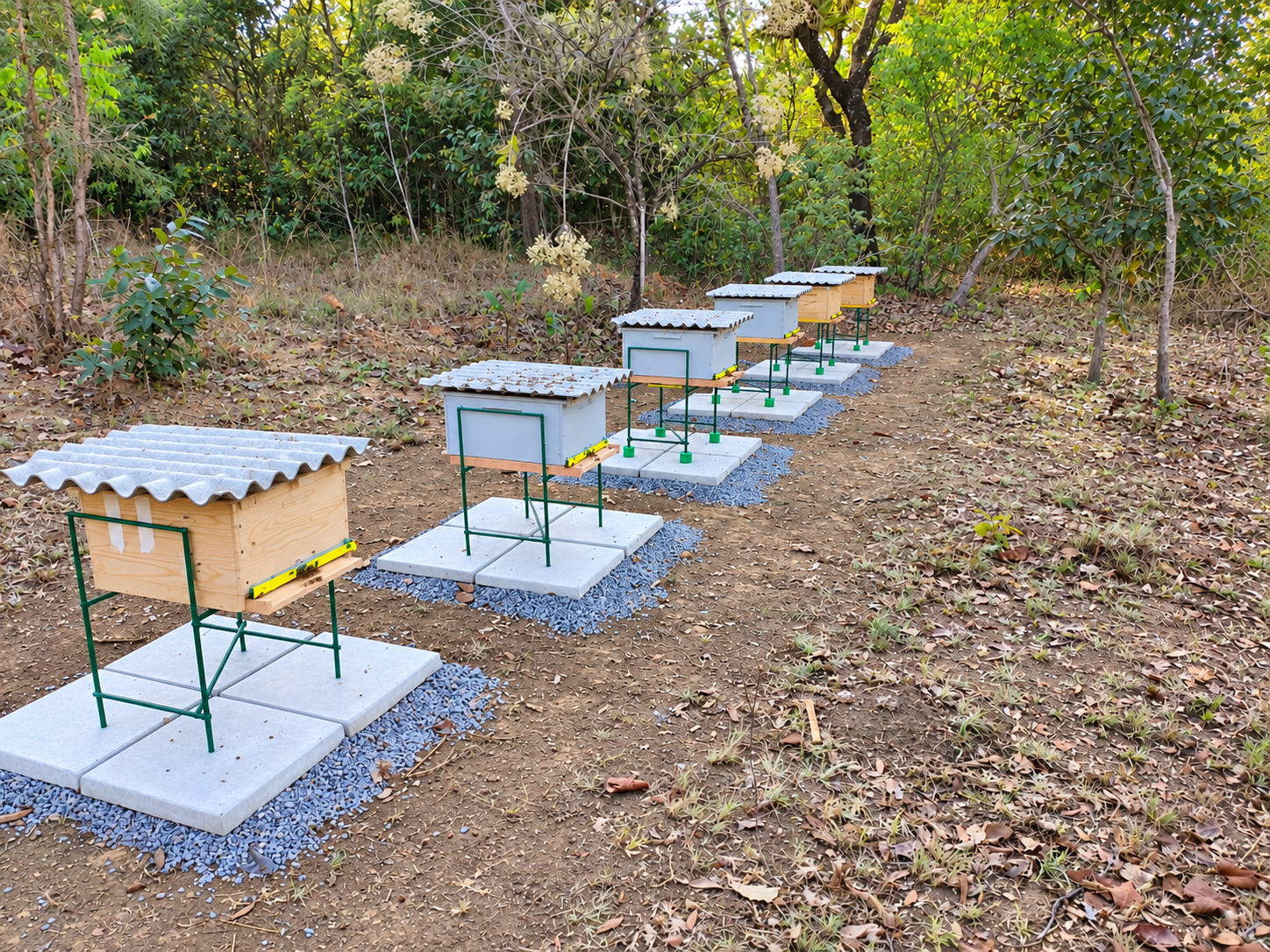 Colmeias organizadas em suportes elevados